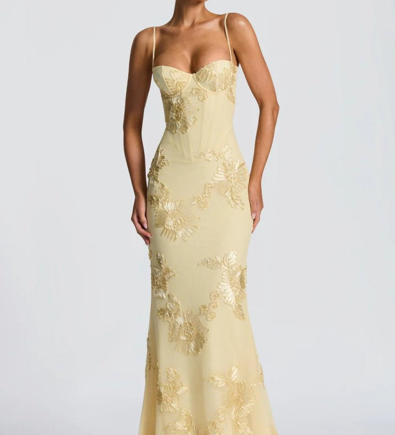 Robe | Maxi Ajustée en Dentelle
